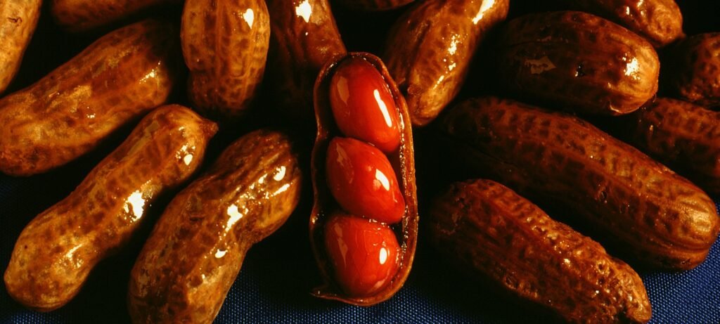 southern sundays boiled peanuts featured image