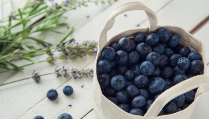 Easy-Lemon-Blueberry-Moonshine-Slush lemon blueberry mooshine slush recipe