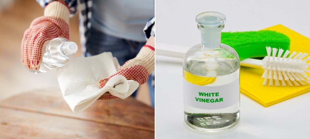 ways to get rid of roaches