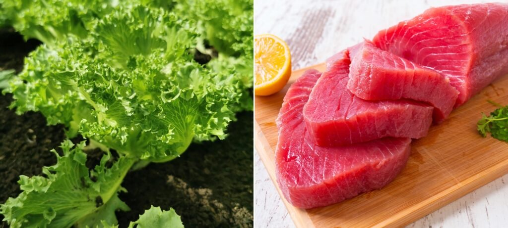 how to make nicoise salad